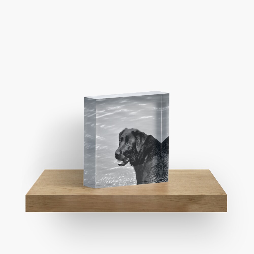 Item preview, Acrylic Block designed and sold by Tiffany.