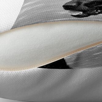 Alternate view of throw the stick, throw the stick...! Throw Pillow