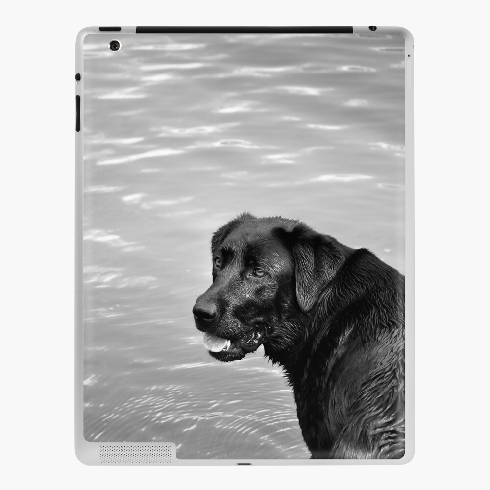 Item preview, iPad Skin designed and sold by Tiffany.