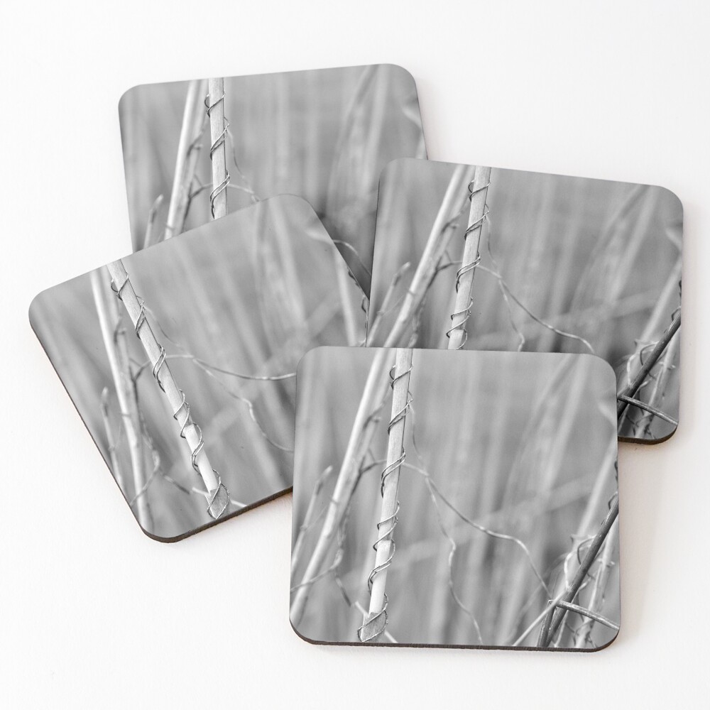 Item preview, Coasters (Set of 4) designed and sold by Tiffany.