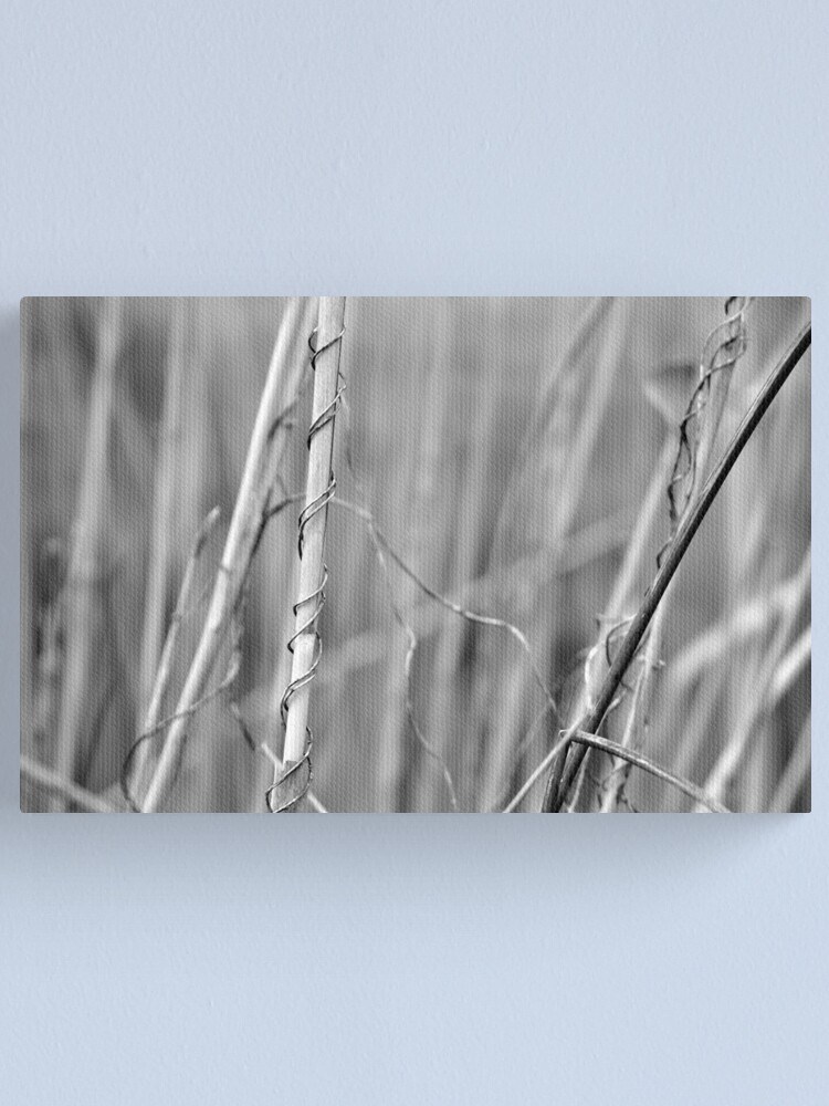 Alternate view of Supportive Canvas Print