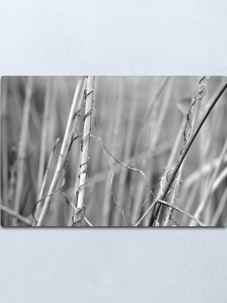 Alternate view of Supportive Metal Print