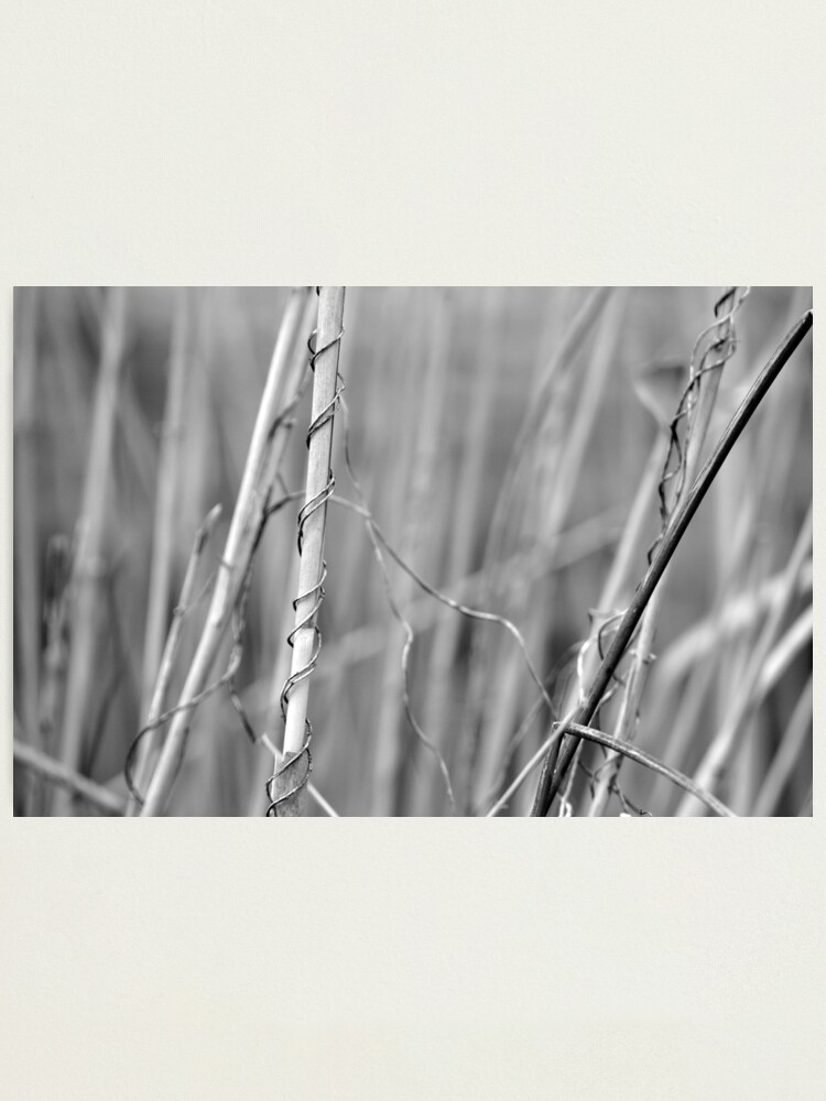 Alternate view of Supportive Photographic Print