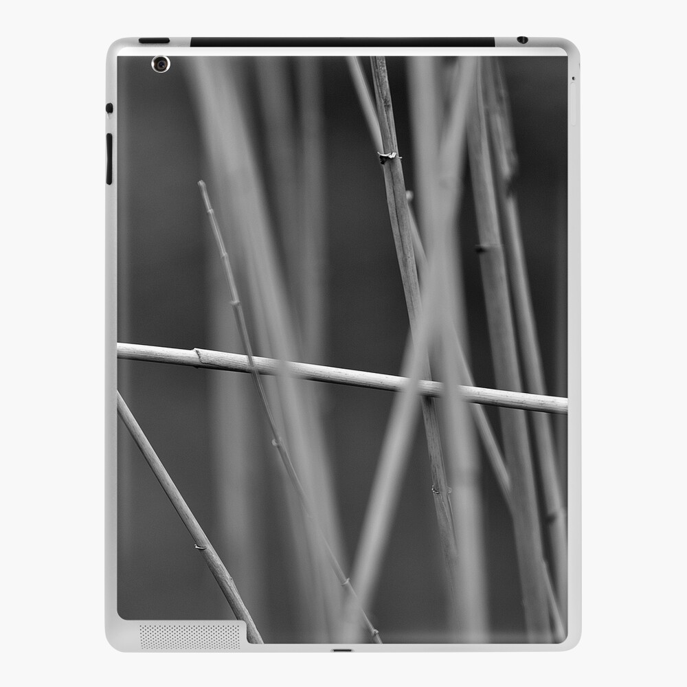Item preview, iPad Skin designed and sold by Tiffany.