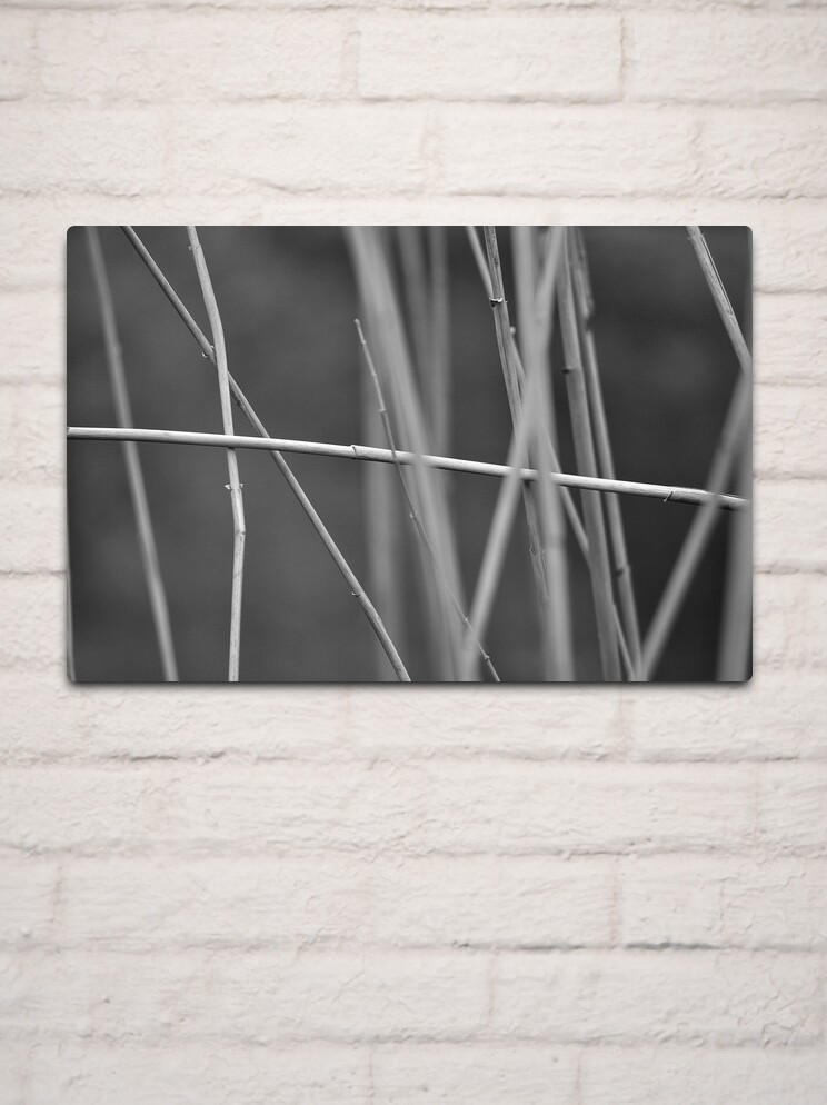 Thumbnail 2 of 4, Metal Print, Going My Own Way designed and sold by Tiffany Dryburgh.