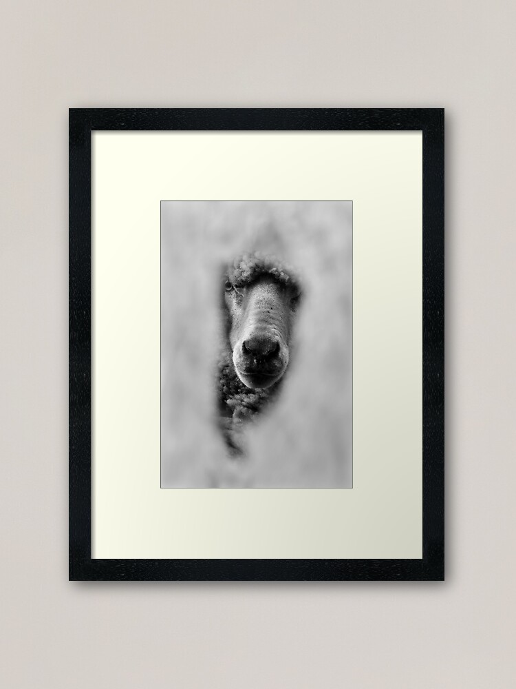 Thumbnail 2 of 7, Framed Art Print, The Neighbour designed and sold by Tiffany Dryburgh.