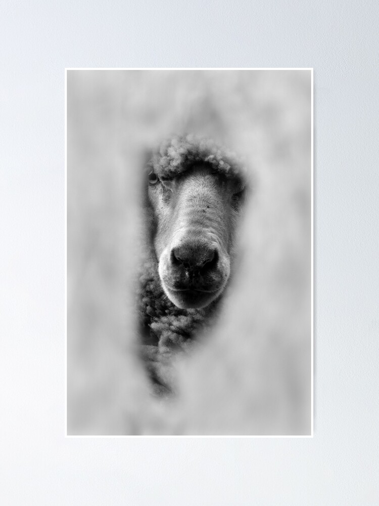 Thumbnail 2 of 3, Poster, The Neighbour designed and sold by Tiffany Dryburgh.