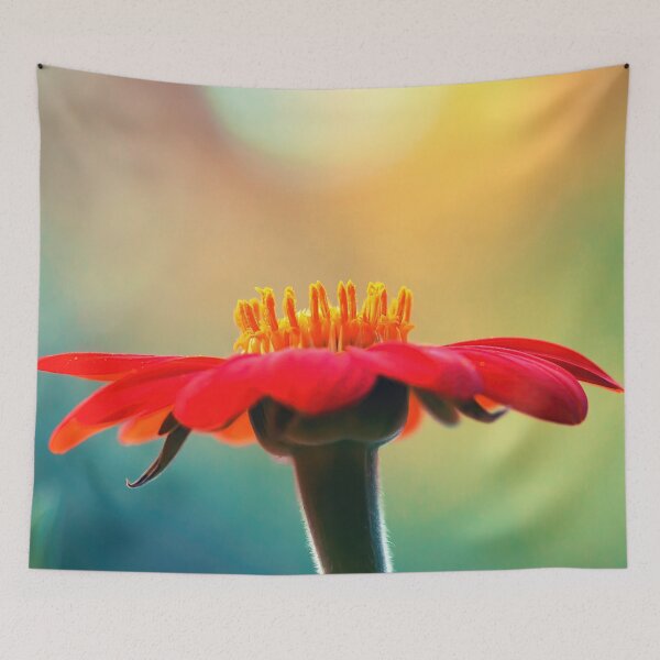 Item preview, Sun Seeker designed and sold by JoaoAlmeidaShop.