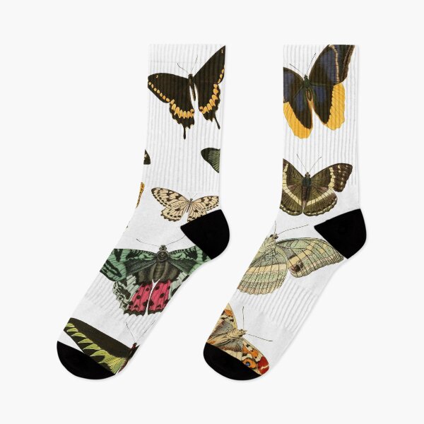 Item preview, Colorful Bunch of Butterflies Illustration  designed and sold by SowCow.