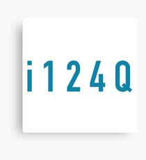 i124Q Canvas Print
