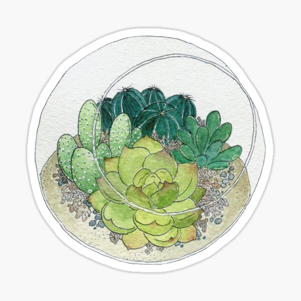 Succulent Bowl Sticker