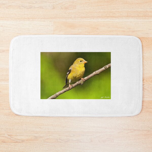 Item preview, Female American Goldfinch designed and sold by Jeff Goulden Photography.