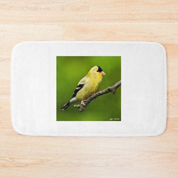 Item preview, Male American Goldfinch designed and sold by Jeff Goulden Photography.