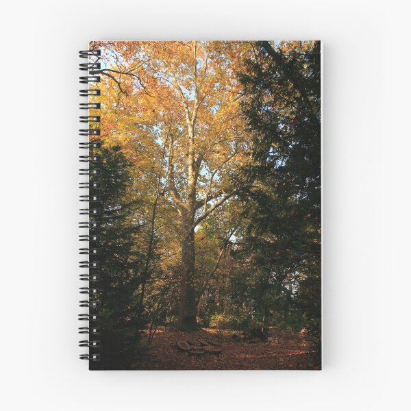 Item preview, The Lonely Tree in the Forest designed and sold by HoremWeb.