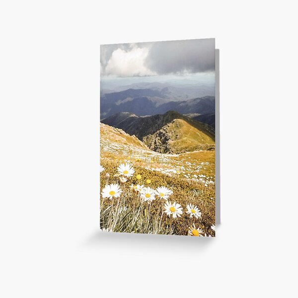 Item preview, High Country Summer designed and sold by chooseadventure.