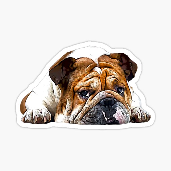 English British Bulldog Sticker