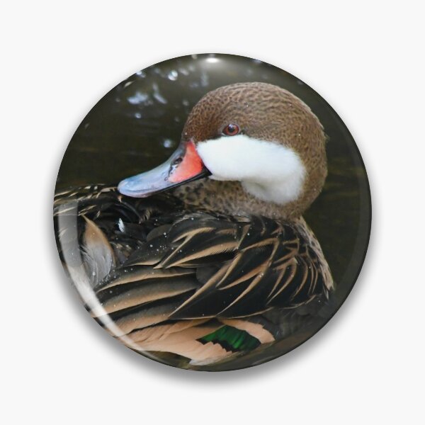 Item preview, White Cheeked Pintail Duck designed and sold by richardbryce.