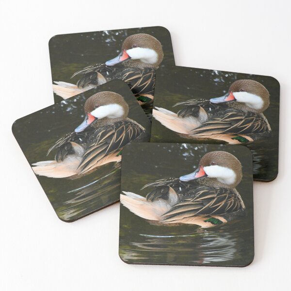 Item preview, White Cheeked Pintail Duck designed and sold by richardbryce.