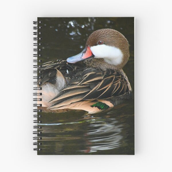 Item preview, White Cheeked Pintail Duck designed and sold by richardbryce.