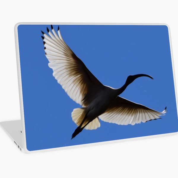 White Ibis 2 Laptop Skin