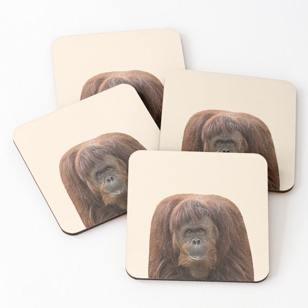 Item preview, Funny Animal Stickers: Funny Monkey designed and sold by Memiefy.