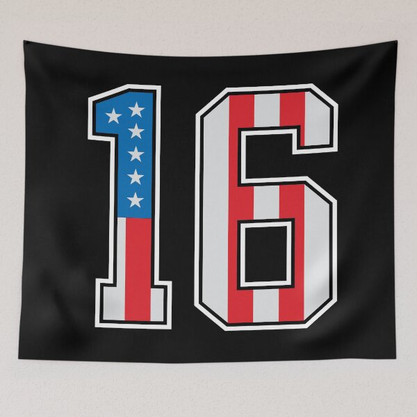 Item preview, 16 American Classy Numbers sixteen United States Flag designed and sold by Urosek.