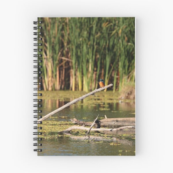 Item preview, Alcedo Atthis ispida designed and sold by HoremWeb.