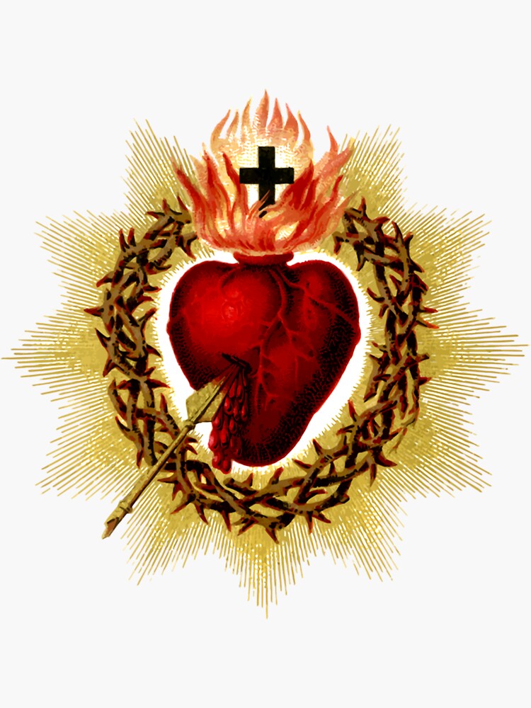 Sacred Heart Of Jesus Christ Catholic Blessing Art T-Shirt Sacred Heart Of Jesus Christ Catholic Blessing Art T-Shirt