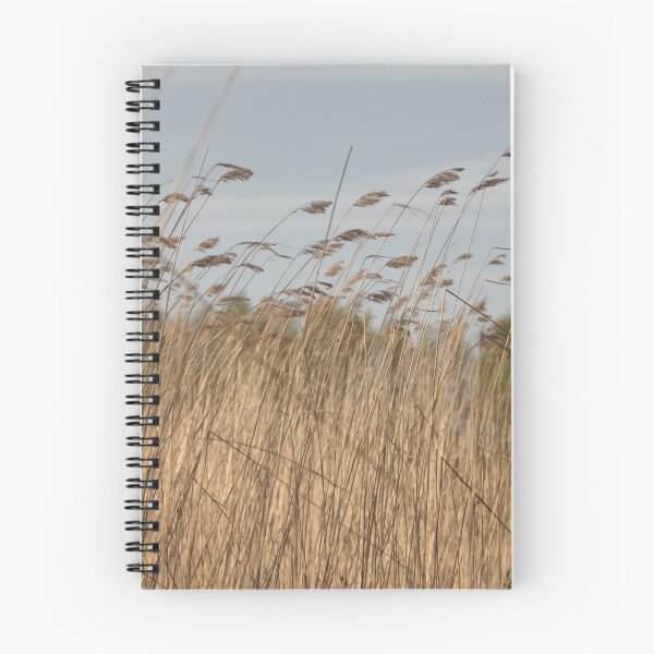 Item preview, Dry cattail swing in wind designed and sold by mrivserg.