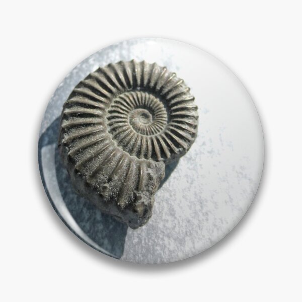 Item preview, Ammonite II designed and sold by LisaLeQuelenec.