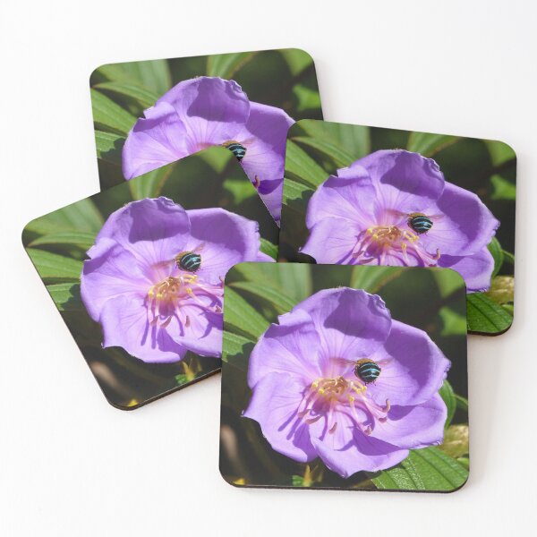 Item preview, Blue Banded Bee on Mauve Blue Tongue Australian Flower designed and sold by TropicalFronds.