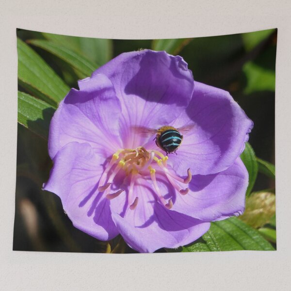 Item preview, Blue Banded Bee on Mauve Blue Tongue Australian Flower designed and sold by TropicalFronds.