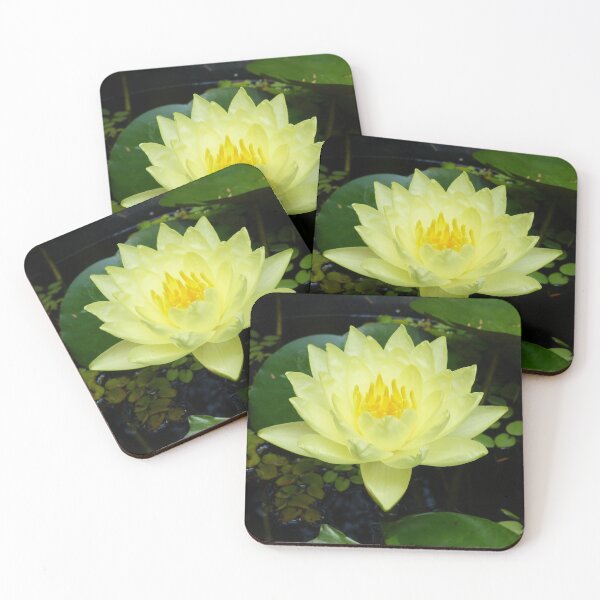 Item preview, Yellow Waterlily designed and sold by TropicalFronds.