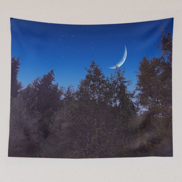 Item preview, New moon in the nightwoods designed and sold by nelllkata.