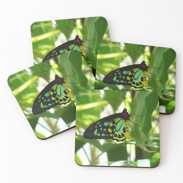 Item preview, Cairns Birdwing Butterfly  designed and sold by TropicalFronds.