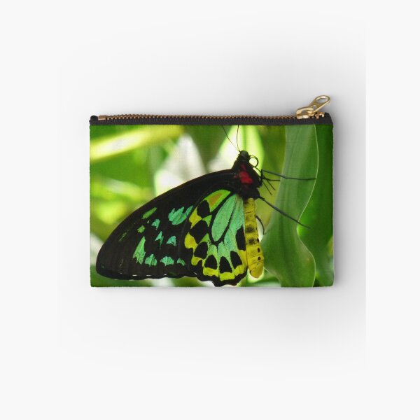 Item preview, Cairns Birdwing Butterfly  designed and sold by TropicalFronds.