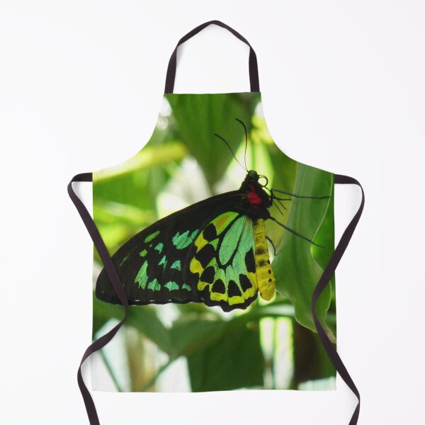 Item preview, Cairns Birdwing Butterfly designed and sold by TropicalFronds.
