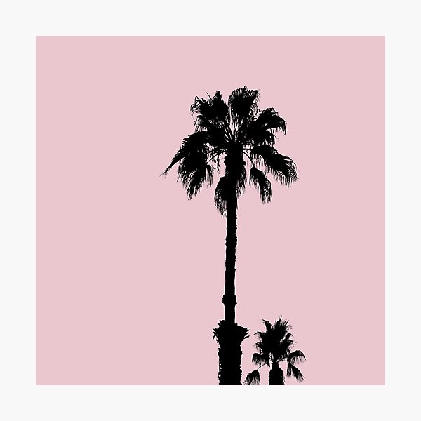 Palm Tree Silhouettes On Pink Photographic Print