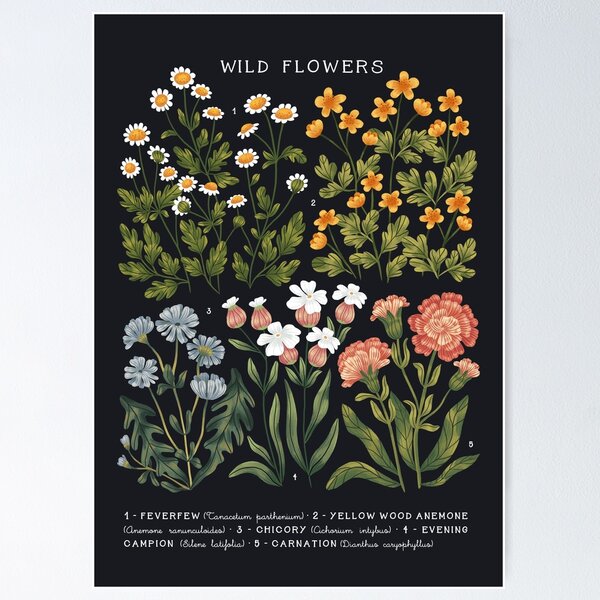 Wild Flowers Poster