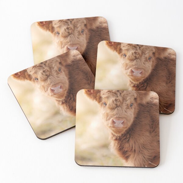 Item preview, Baby Scottish Highlander Photo | Animal Photography | Fluffy Scottish Highland Calf designed and sold by Melissa Peltenburg.
