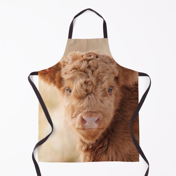 Item preview, Baby Scottish Highlander Photo | Animal Photography | Fluffy Scottish Highland Calf designed and sold by Melissa Peltenburg.