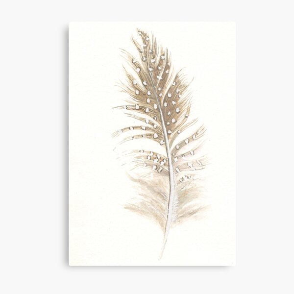 Item preview, Guinea feather study in watercolour designed and sold by LisaLeQuelenec.
