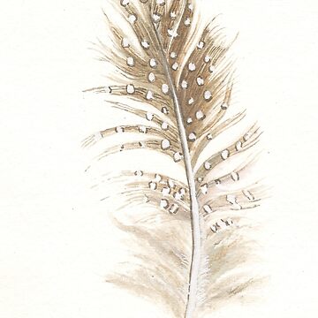 Artwork thumbnail, Guinea feather study in watercolour by LisaLeQuelenec