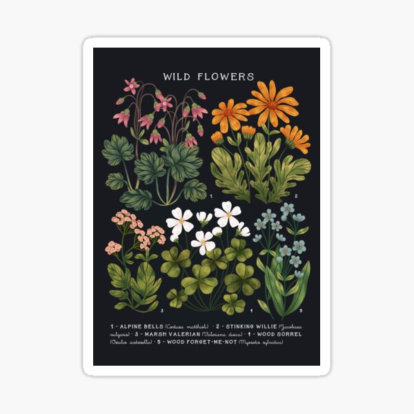 Wild Flowers vol.4 Dark Sticker
