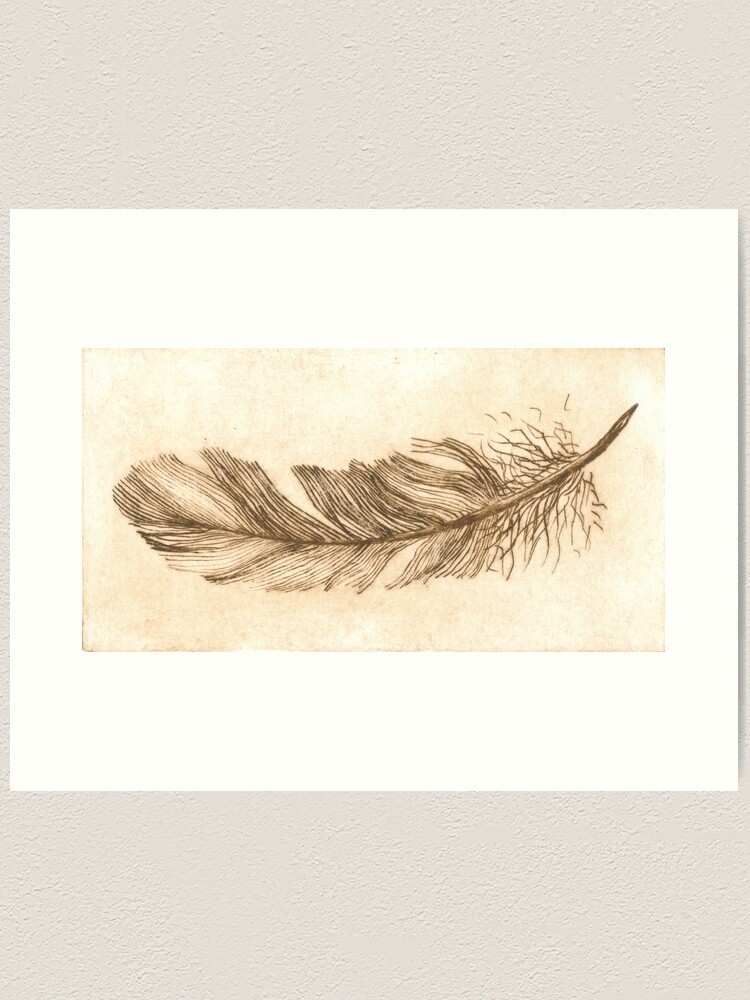 Thumbnail 2 of 3, Art Print, Feather study etching in sepia designed and sold by LisaLeQuelenec.