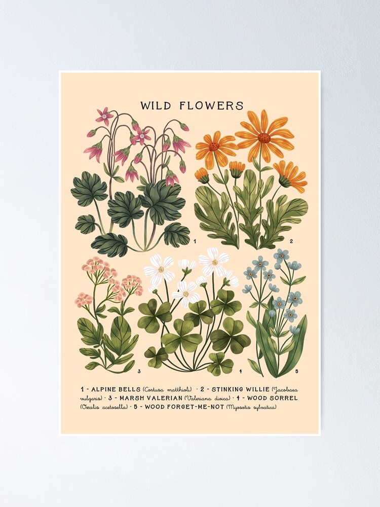 Wild Flowers Poster