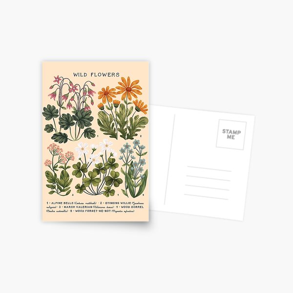Aperçu de l'œuvre Fleurs sauvages vol.4 Bright créée et vendue par izptica.