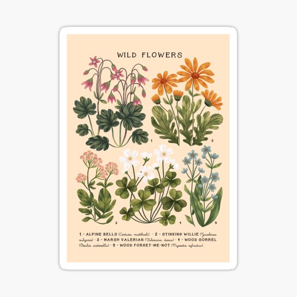 Wild Flowers vol.4 Bright Sticker