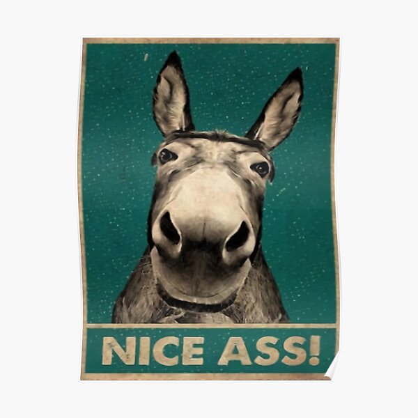 donkey nice ass Poster