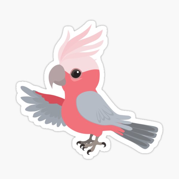  Cute galah cockatoo Sticker